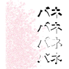 CHERRY BLOSSOMS