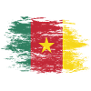 Cameroon flag used