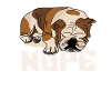 Deutsch Bulldog