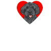 Labradoodle Dog
