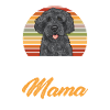 Labradoodle Dog