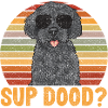 Labradoodle Chien
