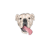 Deutsch Bulldog