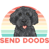 Labradoodle Chien