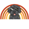 Labradoodle Dog