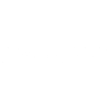BRING THE NOISE
