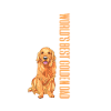 Golden Retriever Goldie Honden Honden Cadeau