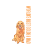 Golden Retrievers