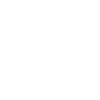 2010