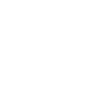 Frame protective shield