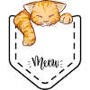 Cat Lover