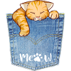 Cat Lover 2