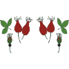 Rosehip in the forest