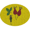 Rosehip Circle
