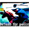 defund the police