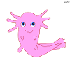 Axolotl