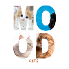 Mood Cats