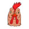 Chicken Head