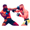 MMA Combat Zone