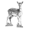 Deer black and white