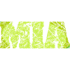 Gift Mia