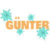 Edelweiss Günter