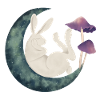 Rabbit on the moon