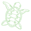 Tortoise