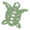 Tortue