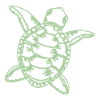 Turtle in Green
