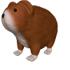 Meerschweinchen "Bruno"