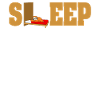 SLEEP Sloth Sleep