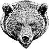 Grizzly black and white