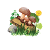 Mushroom pickers and mushroom friends