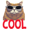 Cool Katze - Cool Cat