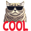 Cool Katze - Cool Cat