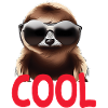 cooles Faultier - Cool sloth