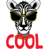 Cooles Zebra - cool