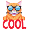 Cool Katze - Cool Cat