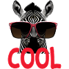 Cooles Zebra - cool