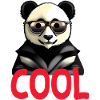 cooler Panda