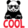 cooler Panda