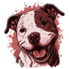 American Staffordshire Terrier