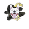 Golden Dog Bull Terrier