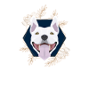 Golden Dog Bull Terrier