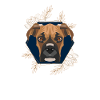 Golden Dog German Boxer