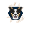 Golden Dog Border Collie
