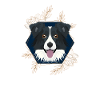 Golden Dog Border Collie