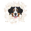 Golden Dog Bouvier Bernois