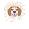 Golden Dog Beagle